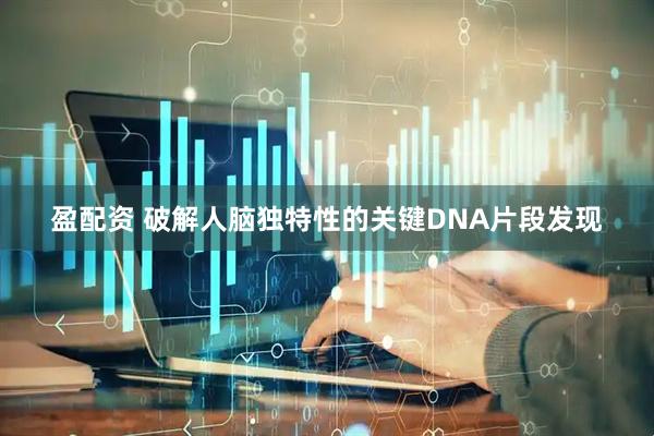 盈配资 破解人脑独特性的关键DNA片段发现